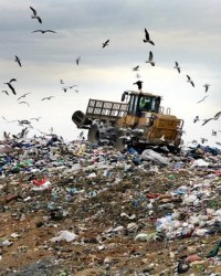 Отходы и мусор в 2020 году