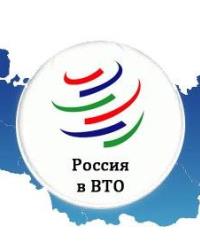 Проблемы присоединения России к ВТО